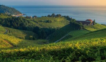 Redescubre el Txakoli: El vino blanco perfecto para todos tus planes