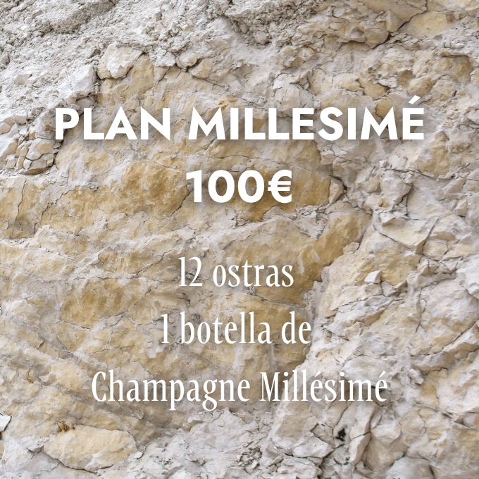 Vale Calcáreo Bar de Vinos - Plan Millesimé