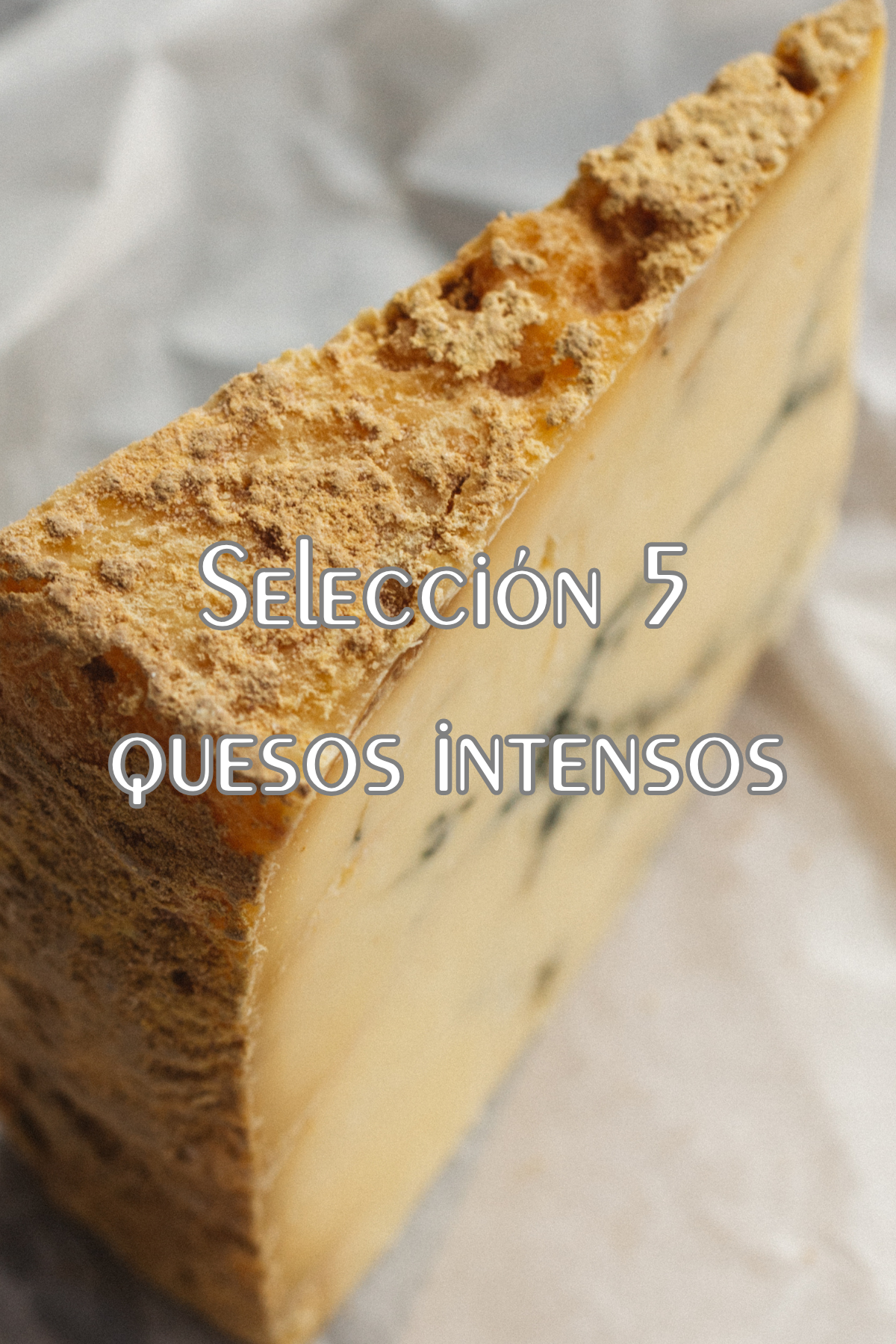 Selección 5 quesos intensos (fuertes)