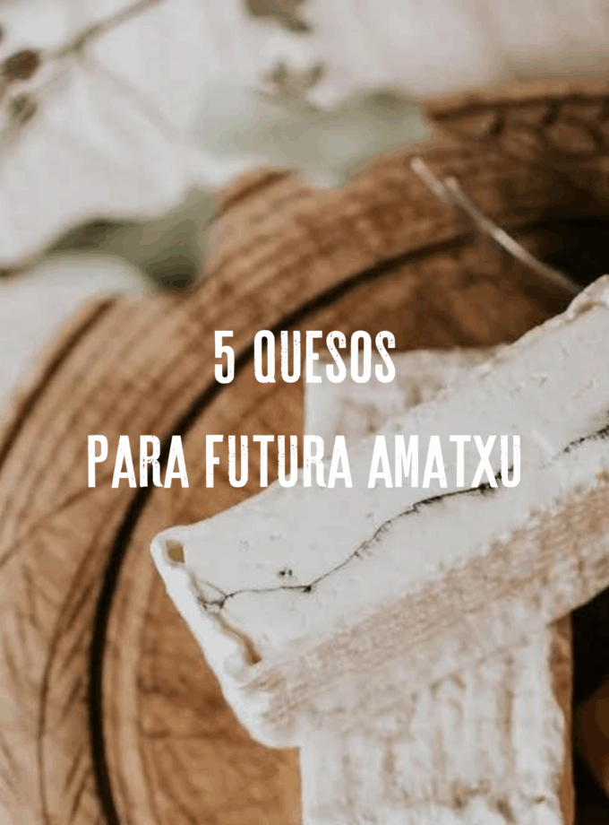 5 quesos para una futura amatxu