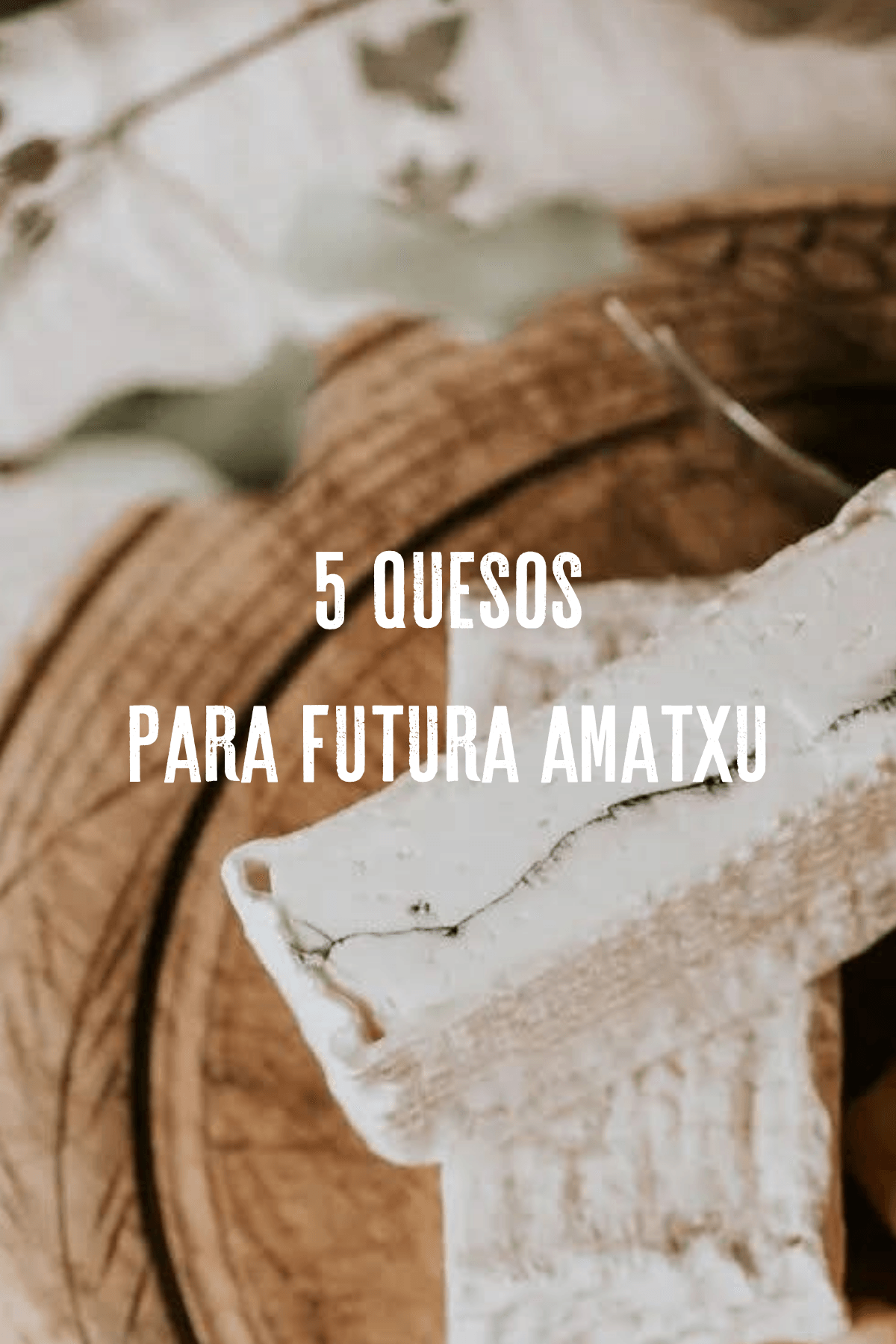 5 quesos para una futura amatxu