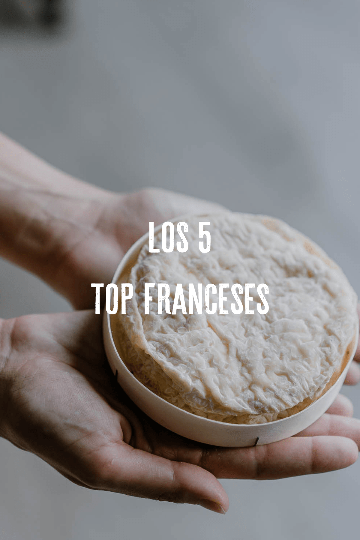 Nuestros 5 top Franceses