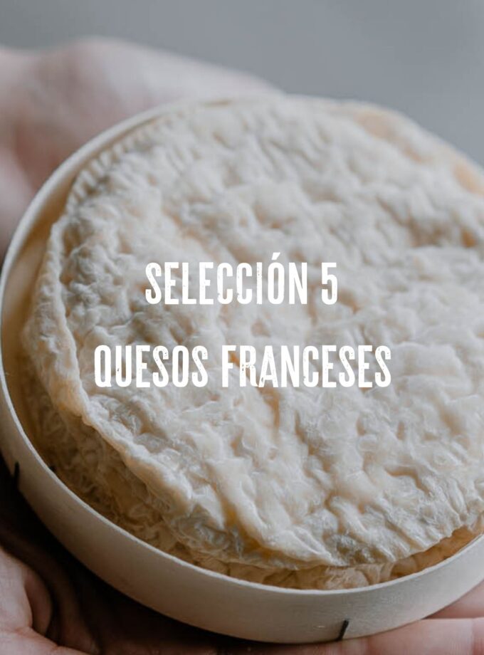 Selección 5 quesos franceses